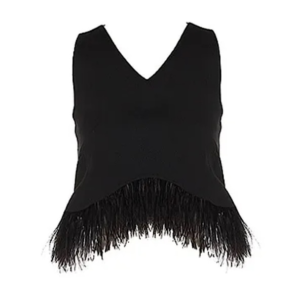 Nordstrom Tops - 🖤 LAST ONE 🖤 #138 Black Ostrich Feather Hem Sleeveless V-Neck Crop Top SMALL